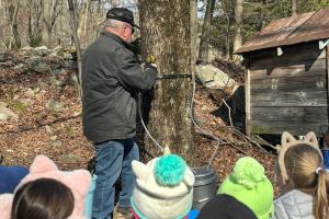   students watching maple syrup demonstration